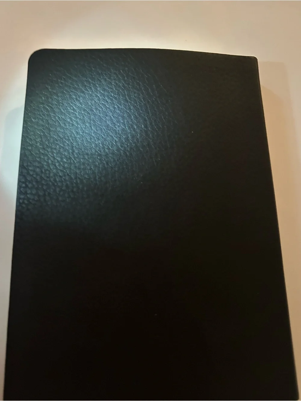 New Embossed Leather Brooks Brothers Crown Fleece Journal 244 Leather Pages USA